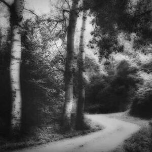 Ohne Titel