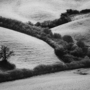 Ohne Titel