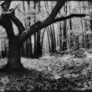 Ohne Titel