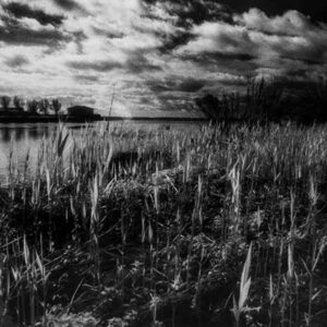 Ohne Titel